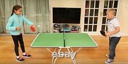 Butterfly Family Mini Ping Pong Table 1 Piece Portable Ping Pong Table for Tai