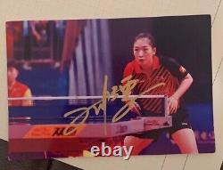 MA LONG SHIWEN ZHENDONG WANG MANYU XU XIN Autographed Ping-Pong Table Tennis