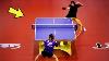 Table Tennis Shots That Actually Happened Hd