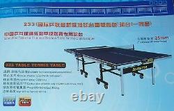 1 table de tennis de table de ping-pong professionnelle de premier niveau, niveau club NATIONAL, choix local